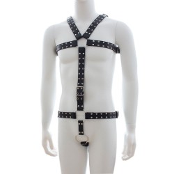 band-belt-chest-waist-full-body-harness-straps.jpg